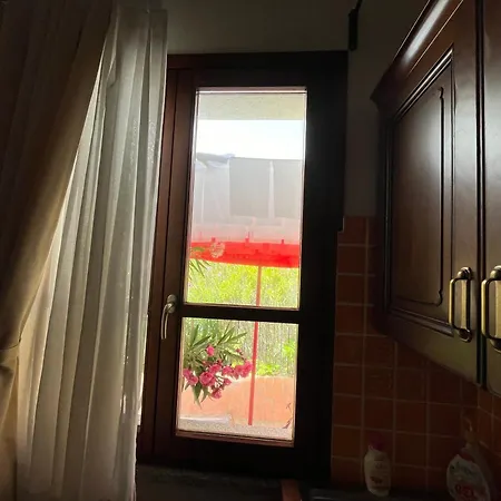 Sardinia فيلة
