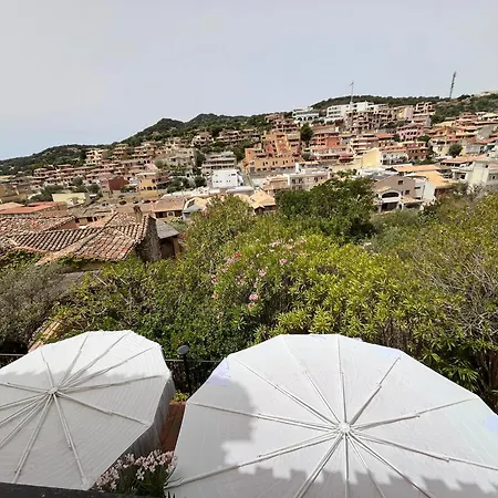 Sardinia فيلة *