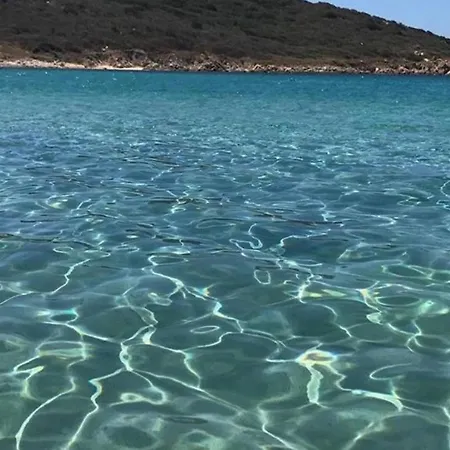 فيلة Sardinia