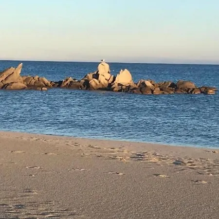 فيلة Sardinia